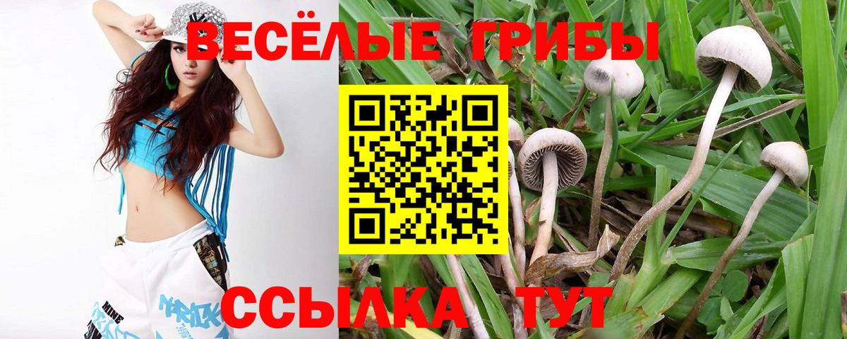 что такое   Вход с VPN  Гусев  Галлюциногенные грибы MAGIC MUSHROOMS 